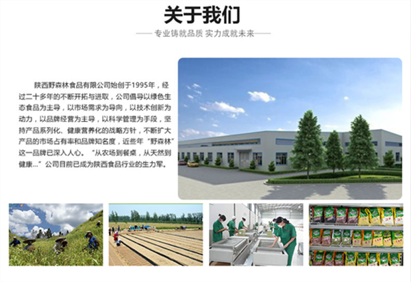 详情_11.png
